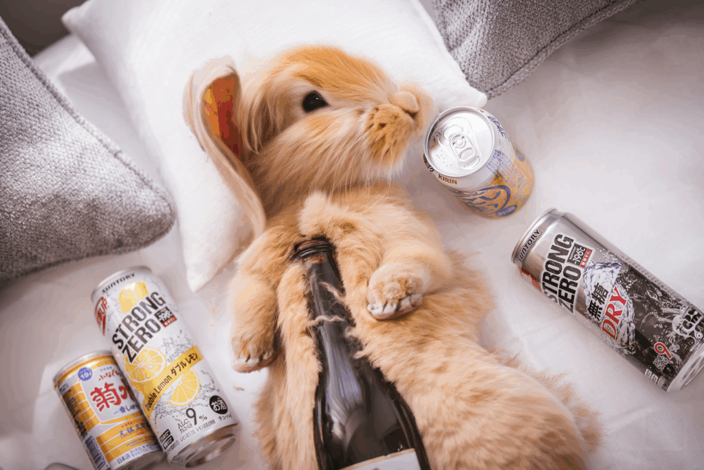 酒瓶を抱いたウサギ1