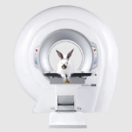 うさぎCT
