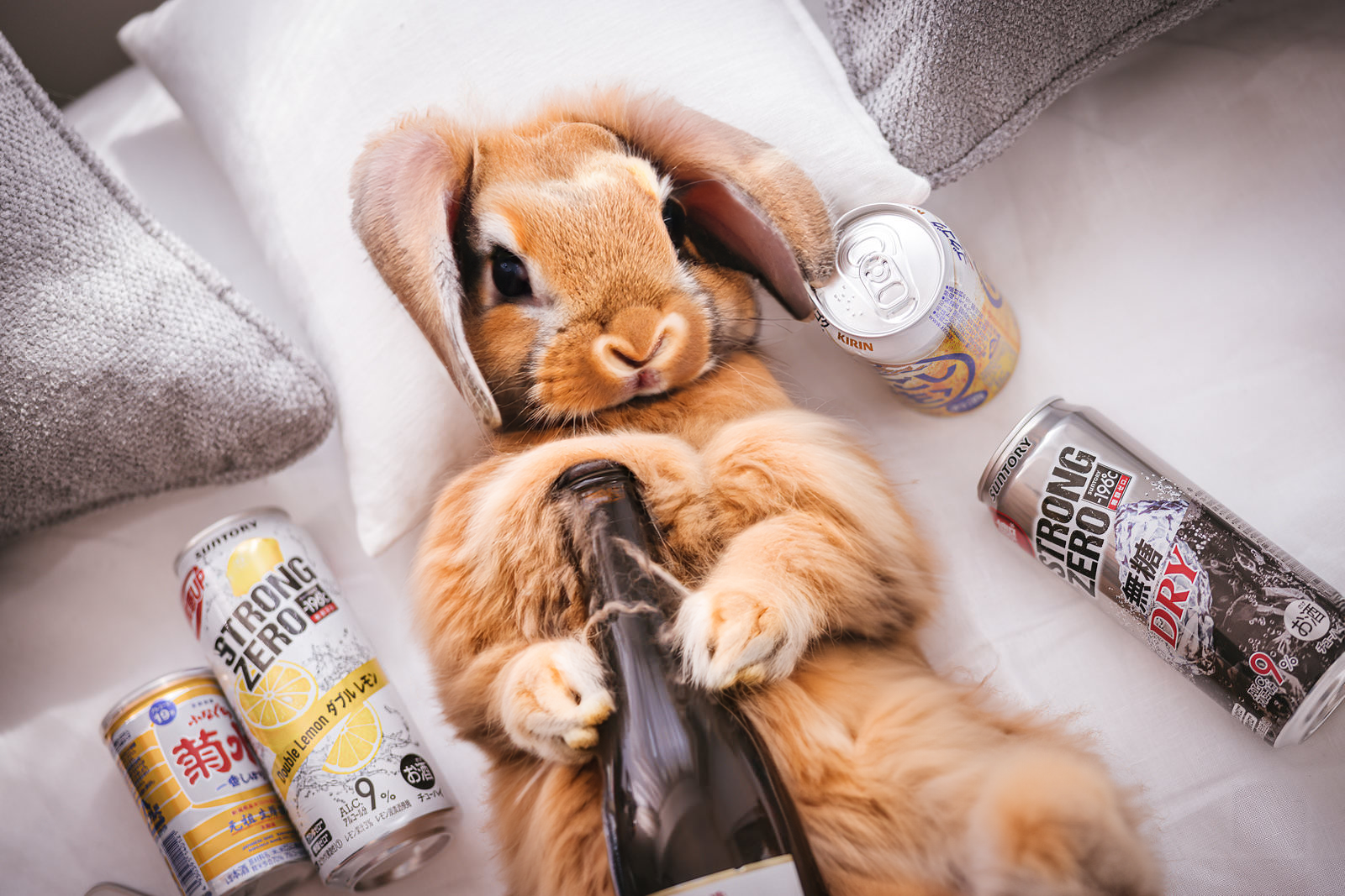 秋の夜長と、心を整える時間🍁（後編）