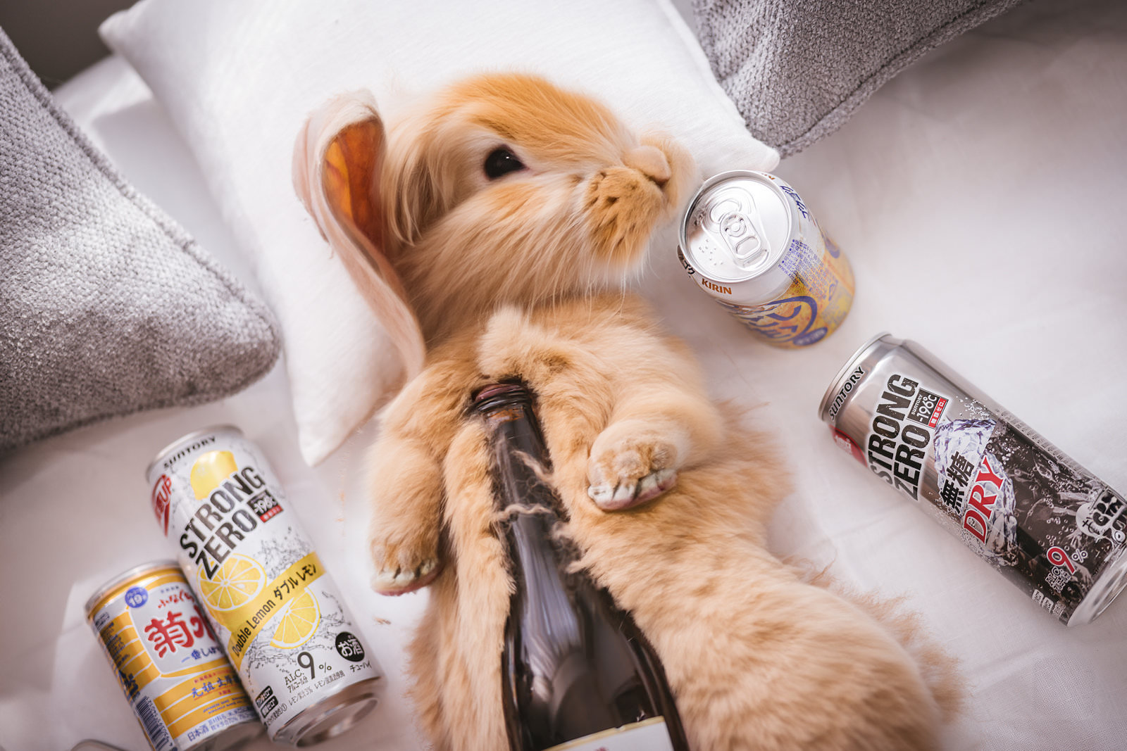 秋の夜長と、心を整える時間🍂（前編）